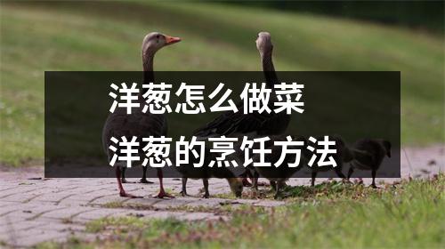 洋葱怎么做菜 洋葱的烹饪方法