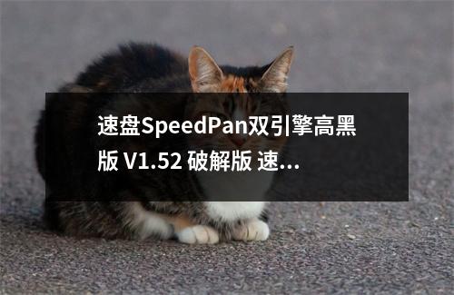 速盘SpeedPan双引擎高黑版 V1.52 破解版 速盘SpeedPan双引擎高黑版 V1.52 破解版功能简介