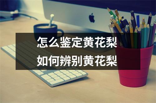 怎么鉴定黄花梨 如何辨别黄花梨