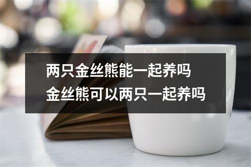 两只金丝熊能一起养吗 金丝熊可以两只一起养吗