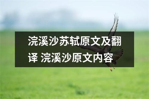 浣溪沙苏轼原文及翻译 浣溪沙原文内容