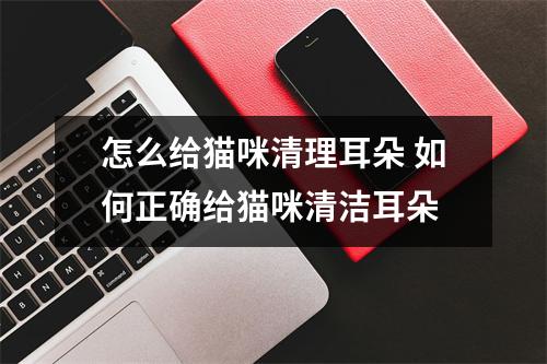 怎么给猫咪清理耳朵 如何正确给猫咪清洁耳朵