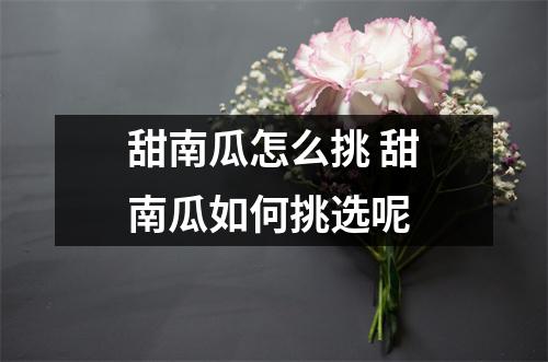 甜南瓜怎么挑 甜南瓜如何挑选呢