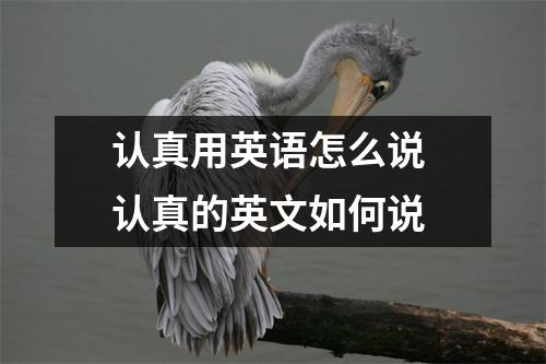 认真用英语怎么说 认真的英文如何说