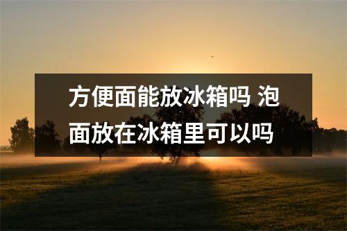 方便面能放冰箱吗 泡面放在冰箱里可以吗