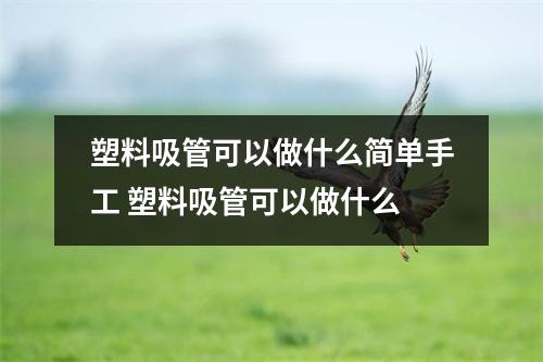 塑料吸管可以做什么简单手工 塑料吸管可以做什么