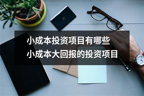 小成本投资项目有哪些 小成本大回报的投资项目