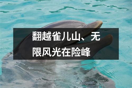 翻越雀儿山、无限风光在险峰