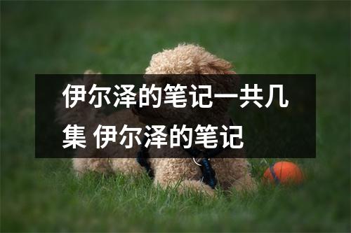 伊尔泽的笔记一共几集 伊尔泽的笔记