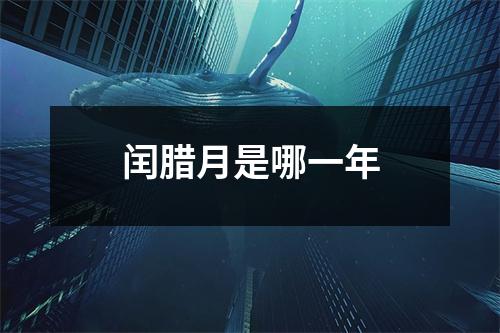 闰腊月是哪一年