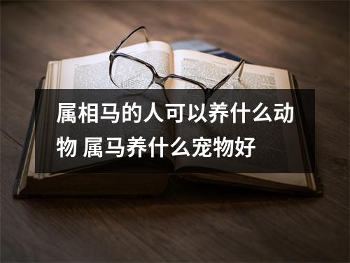 属相马的人可以养什么动物 属马养什么宠物好