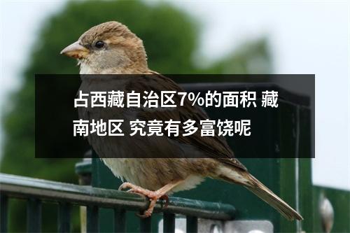 占西藏自治区7%的面积 藏南地区 究竟有多富饶呢