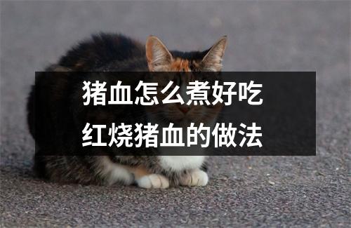 猪血怎么煮好吃 红烧猪血的做法