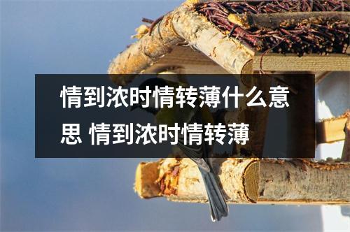 情到浓时情转薄什么意思 情到浓时情转薄