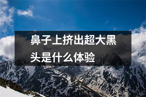 鼻子上挤出超大黑头是什么体验