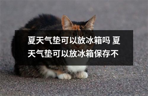 夏天气垫可以放冰箱吗 夏天气垫可以放冰箱保存不