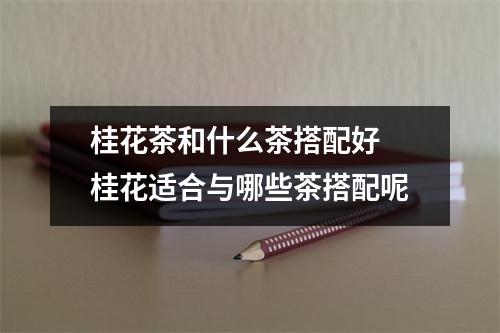桂花茶和什么茶搭配好 桂花适合与哪些茶搭配呢