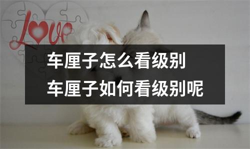 车厘子怎么看级别 车厘子如何看级别呢