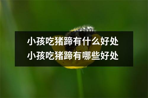 小孩吃猪蹄有什么好处 小孩吃猪蹄有哪些好处