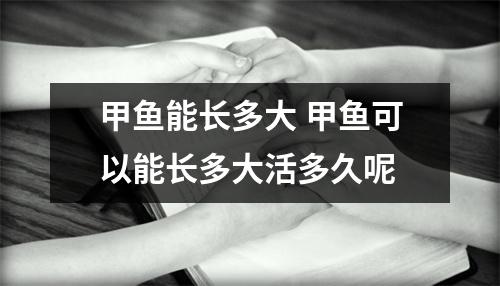 甲鱼能长多大 甲鱼可以能长多大活多久呢