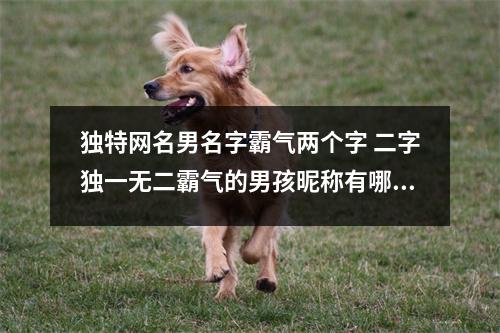 独特网名男名字霸气两个字 二字独一无二霸气的男孩昵称有哪些