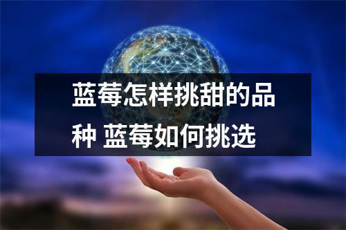 蓝莓怎样挑甜的品种 蓝莓如何挑选