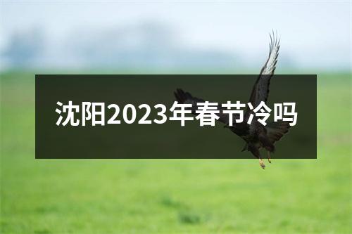 沈阳2023年春节冷吗