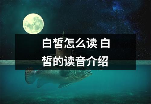 白皙怎么读 白皙的读音介绍