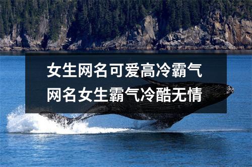 女生网名可爱高冷霸气 网名女生霸气冷酷无情