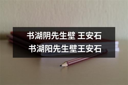 书湖阴先生壁 王安石 书湖阳先生壁王安石