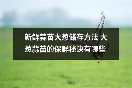 新鲜蒜苗大葱储存方法 大葱蒜苗的保鲜秘诀有哪些