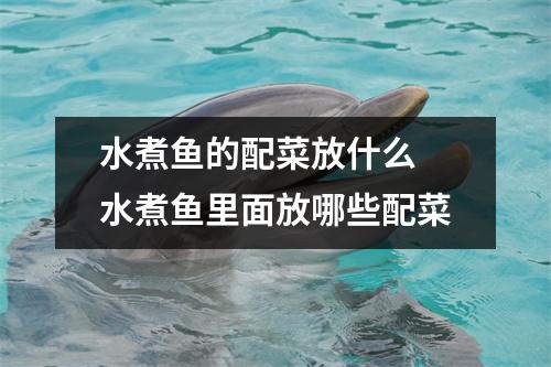 水煮鱼的配菜放什么 水煮鱼里面放哪些配菜