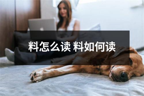 料怎么读 料如何读