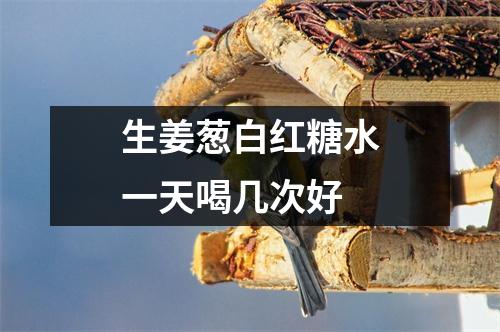 生姜葱白红糖水一天喝几次好