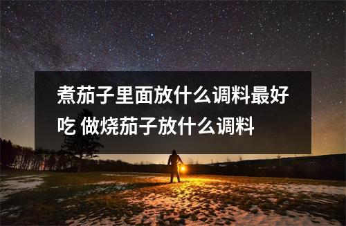 煮茄子里面放什么调料最好吃 做烧茄子放什么调料