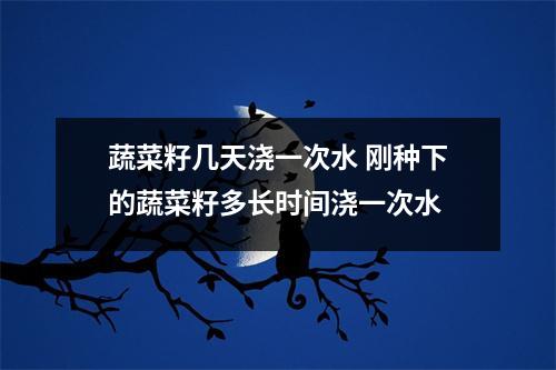 蔬菜籽几天浇一次水 刚种下的蔬菜籽多长时间浇一次水