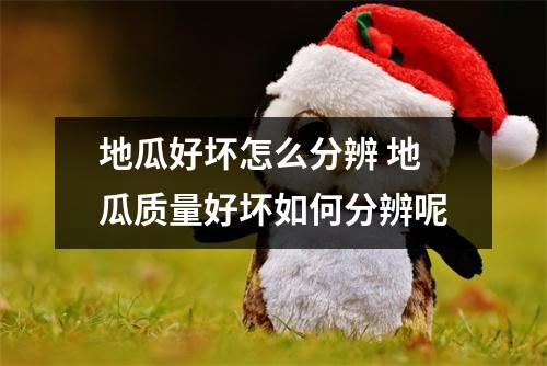 地瓜好坏怎么分辨 地瓜质量好坏如何分辨呢