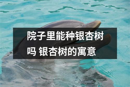 院子里能种银杏树吗 银杏树的寓意