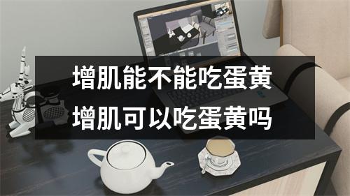 增肌能不能吃蛋黄 增肌可以吃蛋黄吗