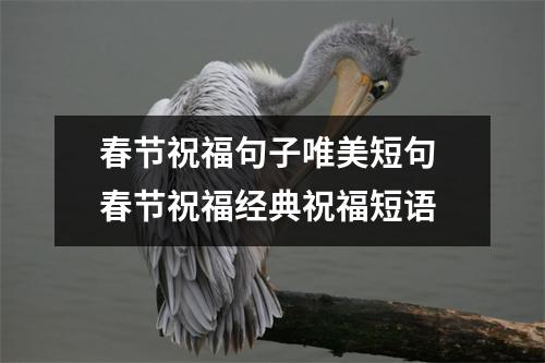 春节祝福句子唯美短句 春节祝福经典祝福短语