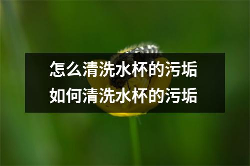 怎么清洗水杯的污垢 如何清洗水杯的污垢