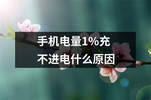 手机电量1%充不进电什么原因