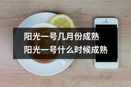 阳光一号几月份成熟 阳光一号什么时候成熟