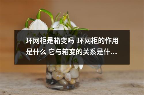 环网柜是箱变吗  环网柜的作用是什么 它与箱变的关系是什么