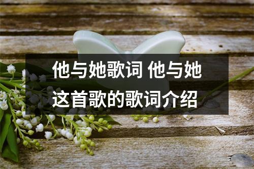他与她歌词 他与她这首歌的歌词介绍