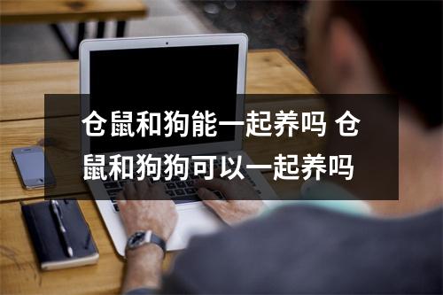 仓鼠和狗能一起养吗 仓鼠和狗狗可以一起养吗
