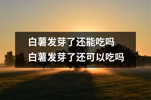 白薯发芽了还能吃吗 白薯发芽了还可以吃吗