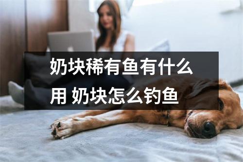 奶块稀有鱼有什么用 奶块怎么钓鱼