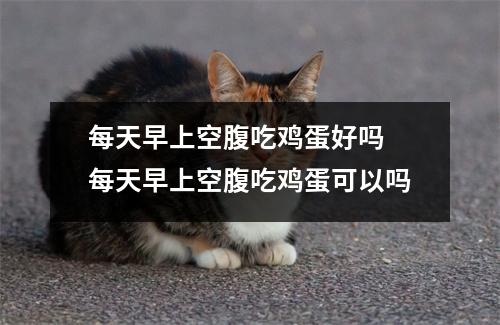 每天早上空腹吃鸡蛋好吗 每天早上空腹吃鸡蛋可以吗