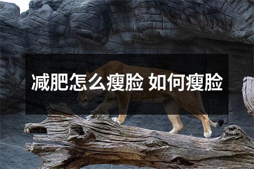 减肥怎么瘦脸 如何瘦脸